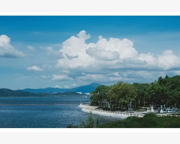 中医荐饮:健脾胃去湿热,泡一杯健康茶