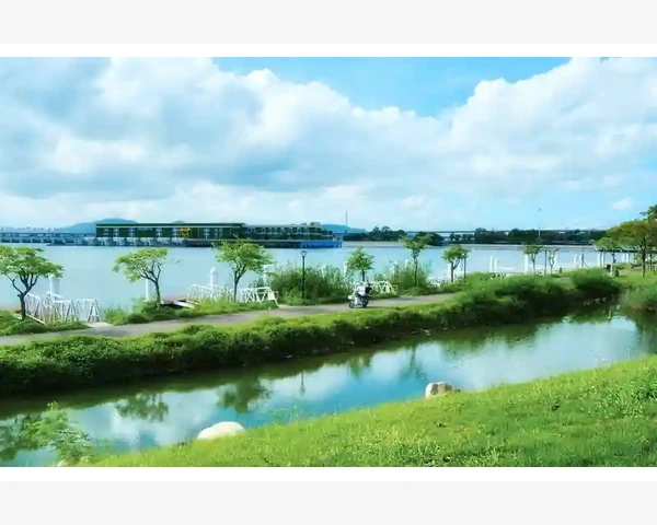 气血不足是否等同于低血压?揭秘中医养生之道
